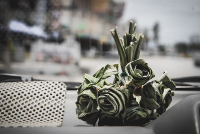 Close-up of potted plant on table