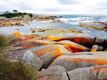 Bright orange rocks over beautiful coastline 