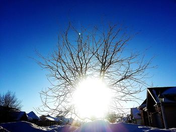 Low angle view of bare trees against blue sky