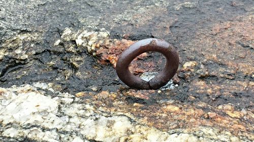 Close-up of rusty metal