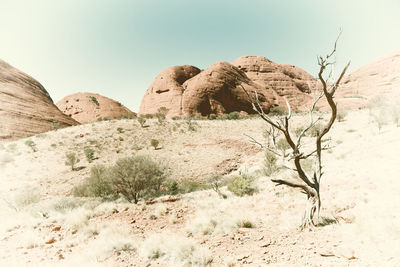 Rock formations in desert against sky