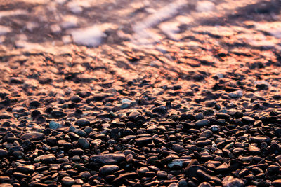 Close-up of pebbles on beach