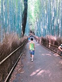 Rear view of girl walking on footbridge in forest