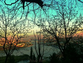 Bare trees by lake at sunset