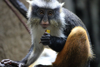 Close-up portrait of man eating outdoors