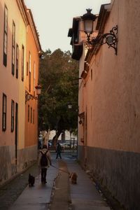 Narrow alley in town