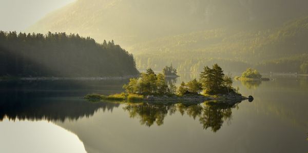 Scenic view of lake by trees against sky