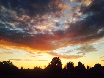 Silhouette of trees at sunset