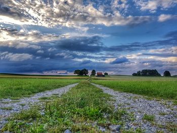 Scenic view of agricultural field against sky