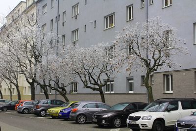 Cars on street amidst buildings in city