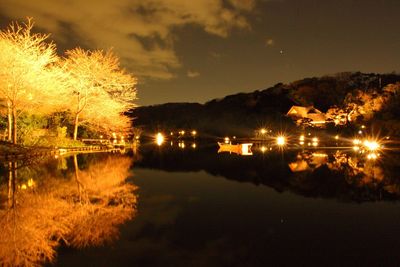 Scenic view of landscape against sky at night