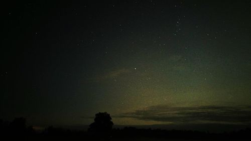 Low angle view of silhouette trees against sky at night