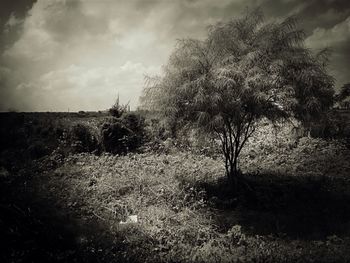 Scenic view of field against cloudy sky