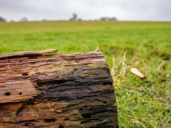 Close-up of wood on field against sky