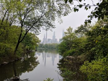 Reflection of trees in lake against sky