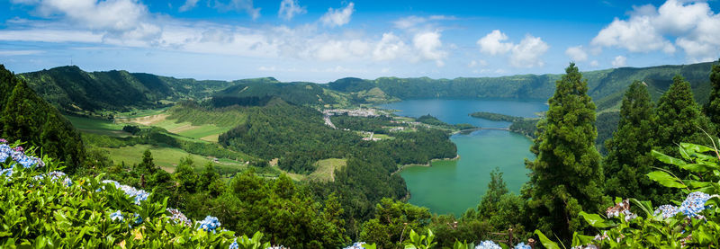 Panoramic view of lake and trees against sky