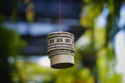 Close-up of electric lamp hanging on plant