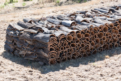 Cork drying in the sun