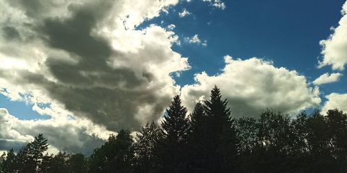 Low angle view of trees against cloudy sky