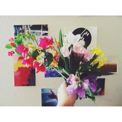 Close-up of multi colored flowers