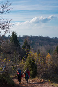 Rear view of people walking on street amidst trees against sky