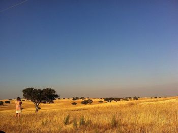 Scenic view of field against clear sky