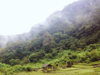 Scenic view of landscape