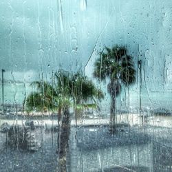 Close-up of water drops on glass