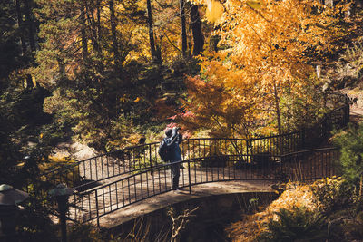 Man standing on footbridge in forest