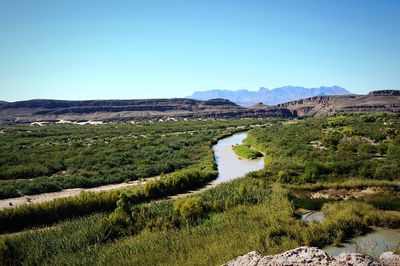 Scenic view of landscape against clear sky