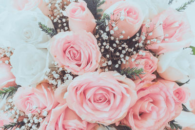 Close-up of pink roses