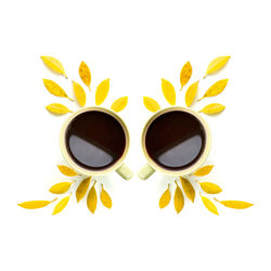 Close-up of yellow flowers against white background