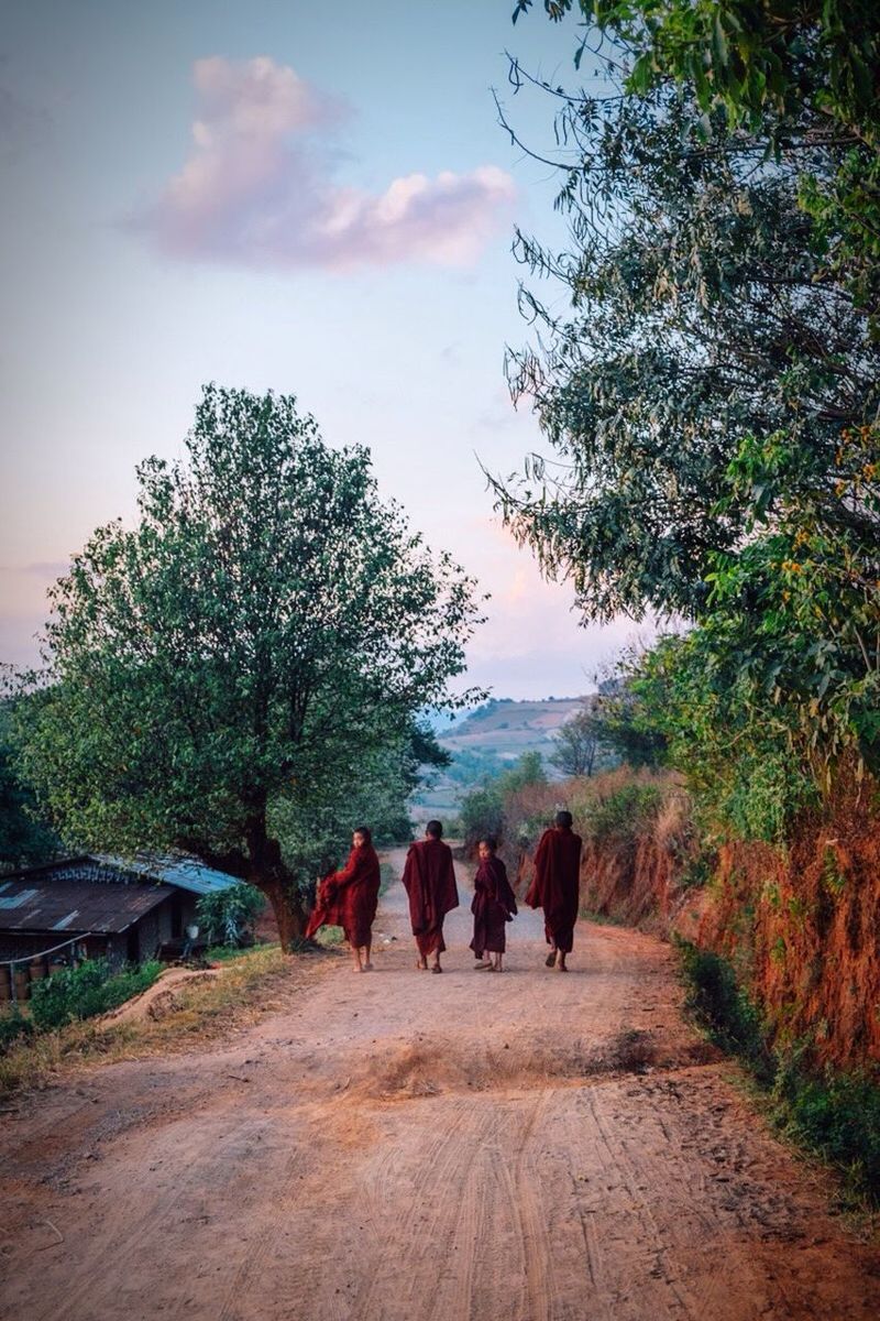 tree, the way forward, men, walking, lifestyles, sky, person, leisure activity, full length, rear view, togetherness, road, diminishing perspective, transportation, dirt road, vanishing point, nature, footpath