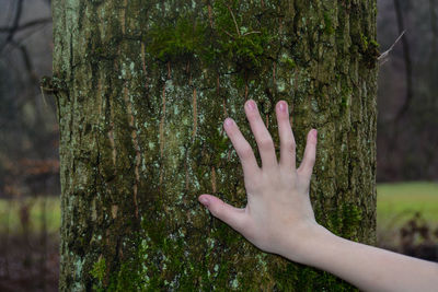 Cropped image of hand touching tree trunk