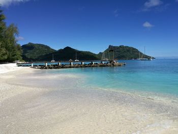 Scenic view of beach against clear blue sky