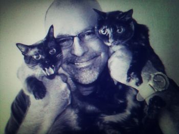 Portrait of cat