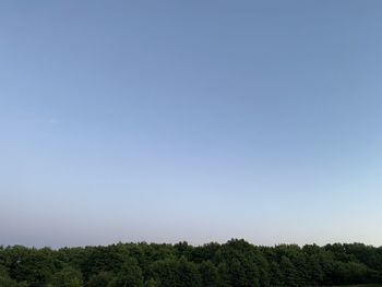 Scenic view of trees against clear blue sky