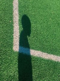 Shadow of person on field