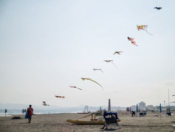 Flock of birds flying over beach