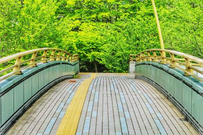 Surface level of footbridge along plants