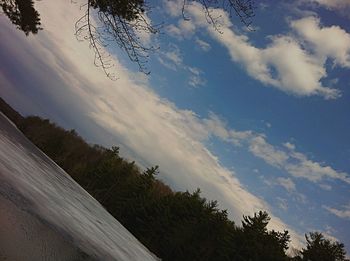 Low angle view of palm trees against cloudy sky