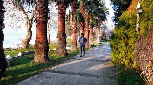 Rear view of woman walking amidst trees