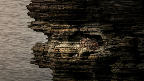 Rocks in water at sunset