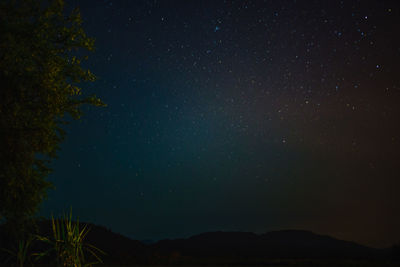 Low angle view of silhouette trees against sky at night