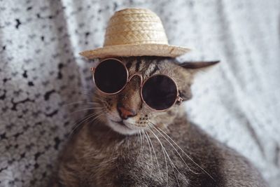 Close-up of cat wearing sunglasses and hat at home