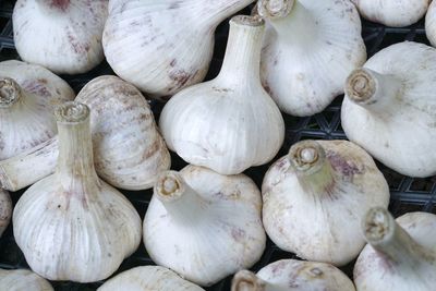 Full frame shot of garlic bulbs on table