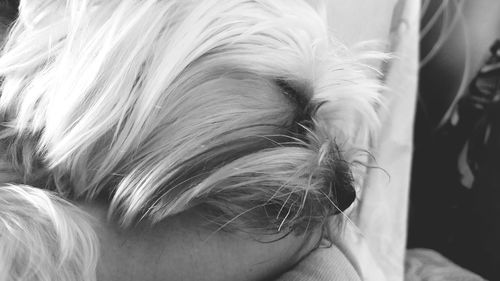 Close-up of young woman