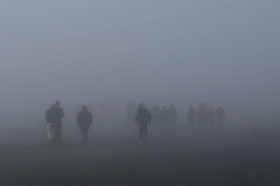 Rear view of silhouette people walking on land