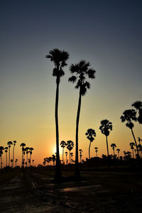 Silhouette palm trees against sky during sunset