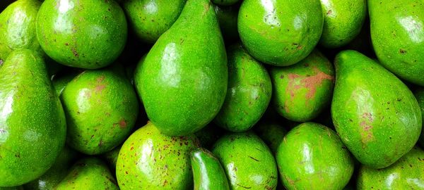 Full frame shot of oranges